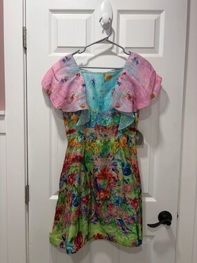 Floral Multi-Color Ruffle Mini Dress